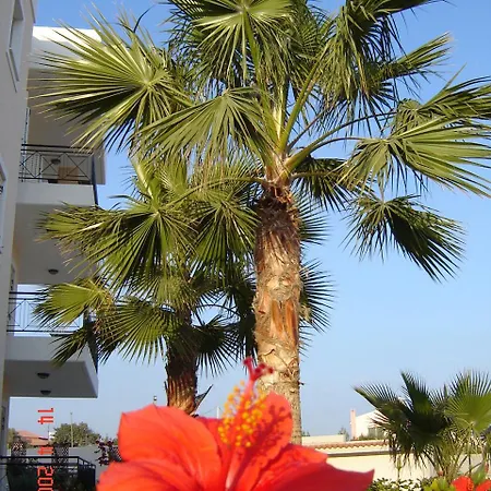 Sunny Garden Star * לימסול