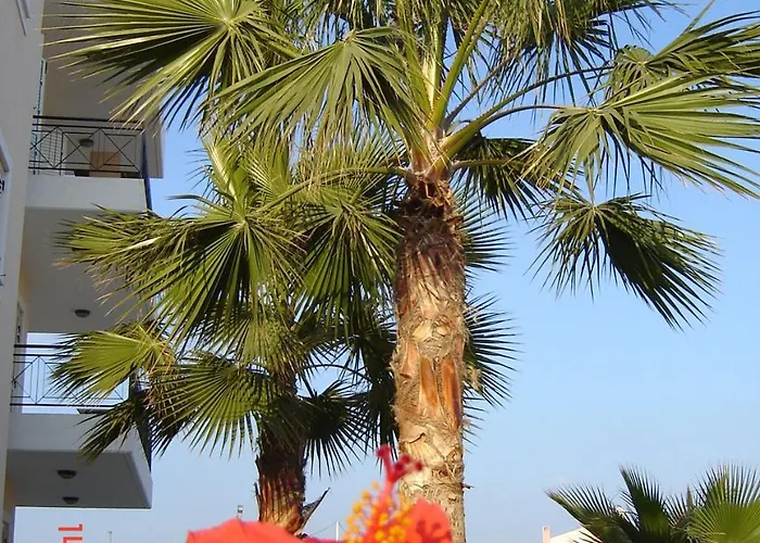 Sunny Garden Star * リマソール